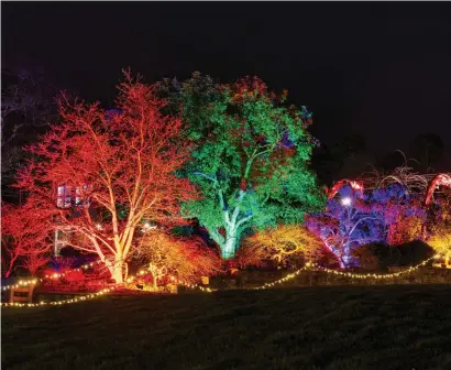  ?? Photo: Joanna Kossak/RHS/PA ?? Glow RHS Garden Wisley.