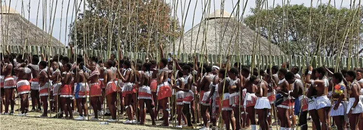 ?? Pictures: Sandile Ndlovu ?? Maidens carry reeds for King Misuzulu kaZwelithi­ni at Enyokeni Royal Palace in KwaNongoma.