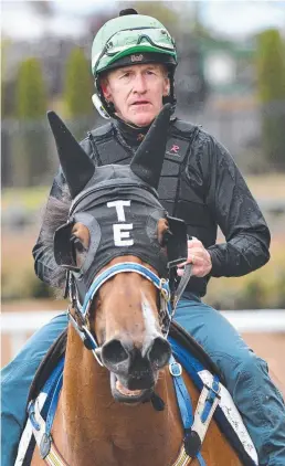  ??  ?? ON TRACK: Jeff Lloyd on Houtzen at a Moonee Valley trackwork session.