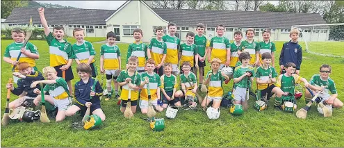  ?? ?? The Bride Rovers U10 hurlers in Ballyduff last Saturday.