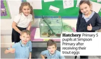  ??  ?? Hatchery Primary 5 pupils at Simpson Primary after receiving their trout eggs