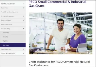  ?? SCREEN SHOT FROM PECO.COM ?? PECO has launched a new Natural Gas Grant Program to assist small business customers with their past due bills. This screen shot shows the gas grant program website, where eligible businesses can apply for one of the $500grants.