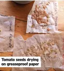  ?? ?? Tomato seeds drying on greaseproo­f paper