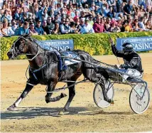  ?? PHOTO: JOSEPH JOHNSON/STUFF ?? Lazarus is a $1.90 chance to win the Inter Dominion final.