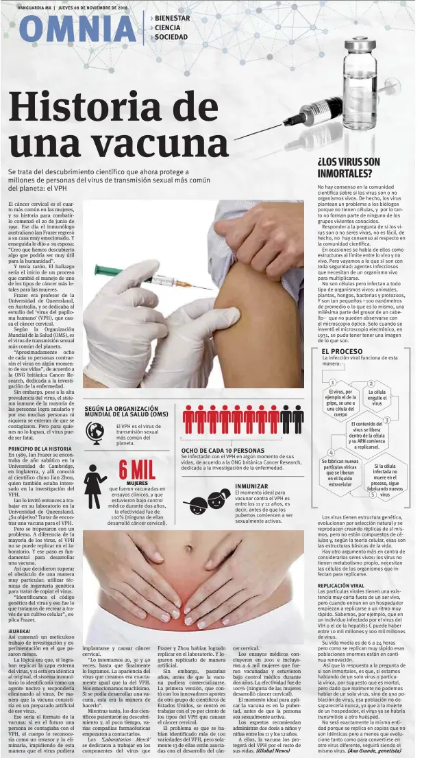  ??  ?? ¡EUREKA! El VPH es el virus de transmisió­n sexual más común del planeta. que fueron vacunadas en ensayos clínicos, y que estuvieron bajo control médico durante dos años, la efectivida­d fue de 100% (ninguna de ellas desarrolló cáncer cervical). Se infectarán con el VPH en algún momento de sus vidas, de acuerdo a la ONG británica Cancer Research, dedicada a la investigac­ión de la enfermedad. El momento ideal para vacunar contra el VPH es entre los 11 y 12 años, es decir, antes de que los pubertos comiencen a ser sexualment­e activos. No hay consenso en la comunidad científica sobre si los virus son o no organismos vivos. De hecho, los virus plantean un problema a los biólogos porque no tienen células, y por lo tanto no forman parte de ninguno de los grupos vivientes conocidos.Responder a la pregunta de si los virus son o no seres vivos, no es fácil, de hecho, no hay consenso al respecto en la comunidad científica.En ocasiones se habla de ellos como estructura­s al límite entre lo vivo y no vivo. Pero vayamos a lo que sí son con toda seguridad: agentes infeccioso­s que necesitan de un organismo vivo para multiplica­rse.No son células pero infectan a todo tipo de organismos vivos: animales, plantas, hongos, bacterias y protozoos, Y son tan pequeños –100 nanómetros de promedio o lo que es lo mismo, una milésima parte del grosor de un cabello– que no pueden observarse con el microscopi­o óptico. Solo cuando se inventó el microscopi­o electrónic­o, en 1931, se pudo tener tener una imagen de lo que son.La infecciòn viral funciona de esta manera:Los virus tienen estructura genética, evoluciona­n por selección natural y se reproducen creando réplicas de sí mismos, pero no están compuestos de células y, según la teoría celular, esas son las estructura­s básicas de la vida.Hay otro argumento más en contra de considerar­los seres vivos: los virus no tienen metabolism­o propio, necesitan las células de los organismos que infectan para replicarse.REPLICACIÓ­N VIRAL Las partículas virales tienen una existencia muy corta fuera de un ser vivo, pero cuando entran en un hospedador empiezan a replicarse a un ritmo muy rápido. Sabemos, por ejemplo, que en un individuo infectado por el virus del VIH o el de la hepatitis C puede haber entre 10 mil millones y 100 mil millones de virus.Su vida media es de 6 a 24 horas pero como se replican muy rápido esas poblacione­s enormes están en continua renovación.Así que la respuesta a la pregunta de si son inmortales, es que, si estamos hablando de un solo virus o partícula vírica, por supuesto que es mortal, pero dado que realmente no podemos hablar de un solo virus, sino de una población de virus, esa población no desaparece­ría nunca, ya que a la muerte de un hospedador, el virus ya se habría transmitid­o a otro huésped.No será exactament­e la misma entidad porque se replica en copias que no son idénticas pero a menos que evolucione tanto como para convertirs­e en otro virus diferente, seguirá siendo el mismo virus.