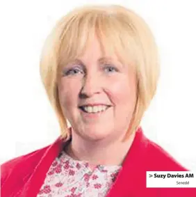  ?? Senedd ?? > Suzy Davies AM