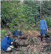  ??  ?? Thorringto­n School pupils plant trees in Ernle Clark Reserve in Cashmere in 2014. They were later destroyed.