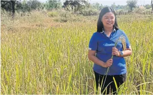  ?? ?? ABOVE
Jonaliza L Siangliw, a researcher for Biotec, leads the rice-breeding project.