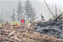  ?? REUTERS ?? Protesters stand on debris of a cutblock as RCMP officers arrest those manning the Waterfall camp blockade against oldgrowth timber logging on Indigenous lands in the Fairy Creek area of Vancouver Island, near Port Renfrew, B.C., on May 24.