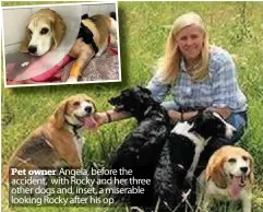  ??  ?? Pet owner Angela, before the accident, with Rocky and her three other dogs and, inset, a miserable looking Rocky after his op