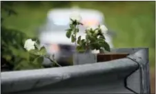  ?? AP PHOTO/MATT ROURKE ?? Flowers stand at the head of a driveway, Friday, July 14, 2017. in Solebury, Pa., as the investigat­ion of four missing young Pennsylvan­ia men continues.