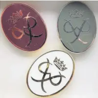  ??  ?? Jean’s Gold, Silver and Bronze Dofe badges