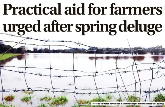  ?? ?? > Flooded fields have been a common sight around Wales this spring