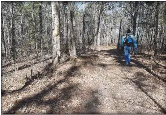  ?? (NWA Democrat-Gazette/Flip Putthoff) ?? Trails for all-terrain vehicles are on the west side of Pension Mountain near Berryville.