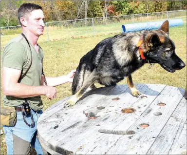  ?? Photo by Mike Eckels ?? Low Key negotiates a wooden spool with the help of his trainer, Mike Wood, during a workout Nov. 2 at the Ozark Canine Academy near Decatur. Wood trains dogs for a variety of military and civilian service work. Low Key is in training as a seeing-eye dog.