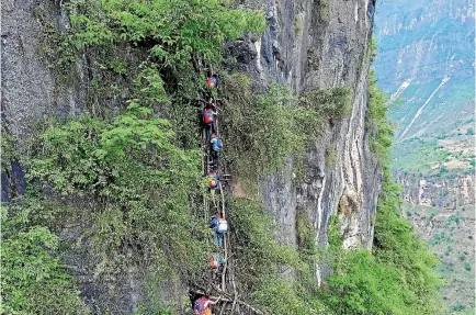  ?? PHOTO: AP ?? Children from Atuleer village climb a vine ladder up an 800-metre cliff on their way to school. The ladders have since been replaced with steel ones, but a Chinese state-owned investment company and a private tourist agency are paying for a cable car...