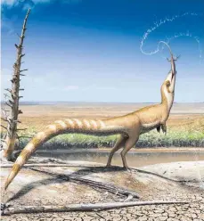  ?? FOTO: ROBERT NICHOLLS/DPA ?? Der etwa 1,2 Meter große Sinosaurop­teryx lebte vor etwa 130 Millionen Jahren und in der sogenannte­n Jehol-Gruppe, einer Region im Nordosten Chinas.