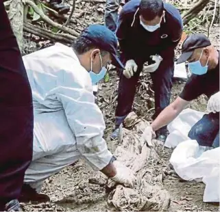  ?? FILE PIC ?? Forensic officers examining the remains found in a grave near an abandoned camp in Bukit Wang Burma near the Perlis-Thai border. KLH National Institute of Forensic Medicine director Datuk Dr Mohd Shah Mahmood was involved in the processing of more than 150 remains found in Wang Kelian in 2015 in the human traffickin­g case that shocked the nation.