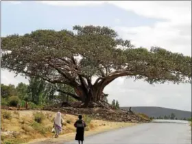  ??  ?? Ethiopia offers a wide variety of terrains -- mountains, plateaus, lowlands and is semidesert.