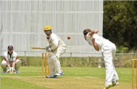  ?? Photo: Cordell Richardson ?? FINE FORM: Northern Brothers Diggers batsman Blake Anderson has been in superb form for his side, including belting 147 against Metropolti­an-Easts at the weekend.