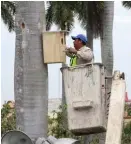  ?? JOSÉ TAPIA ?? Colocaron nidos para loros.