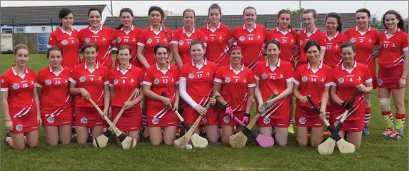  ??  ?? The Louth Camogie squad.