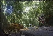  ?? BRUNA PRADO — THE ASSOCIATED PRESS ?? A cyclist pedals past a fallen jackfruit at Tijuca National Park in Rio de Janeiro, on Feb. 28.