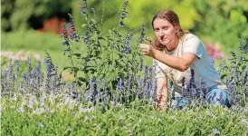  ?? WASHINGTON POST] [PHOTO BY JIM GRAHAM, FOR THE ?? Nora Palmer, 21, works at Hershey Gardens in Hershey, Pennsylvan­ia. “Everything you do in horticultu­re is wonderful,” she says. “Almost magical.”