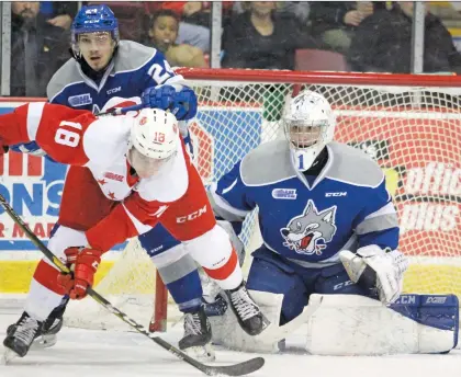  ?? BRIAN KELLY ?? Sudbury Wolves goalie Ukko-Pekka Luukkonen will suit up for Team Finland at the world juniors for the second straight year. The Buffalo Sabres prospect will be looking to avenge a quarter-final loss to the Czech Republic in last year’s tournament.