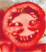  ??  ?? You wouldn’t want to meet this tomato in a dark alley . . .