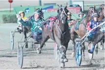  ?? Picture / Harness Racing Victoria ?? A brother to champion trotter Speeding Spur is among the lots for sale on Monday.