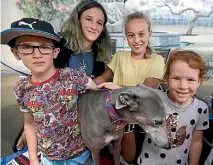  ?? ANDY JACKSON/STUFF ?? Greyhound Pascha is surrounded by new friends Johnny Read, 7, Tyler Read, 12, Ashleigh Francis, 10, Layla Read, 5.