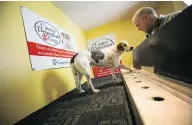  ??  ?? “It is a disgrace ... that this thing isn’t being grabbed onto like the invention of radar,” says Glenn Ferguson, whose dogs are trained to sniff for cancer.