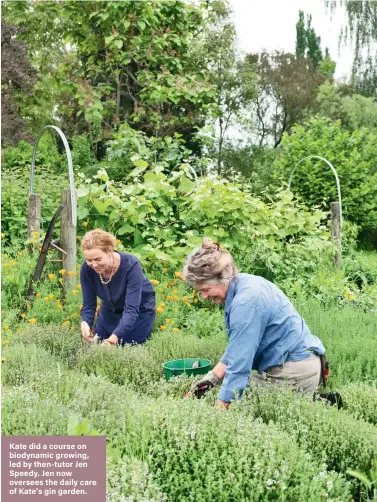  ??  ?? Kate did a course on biodynamic growing, led by then-tutor Jen Speedy. Jen now oversees the daily care of Kate's gin garden.