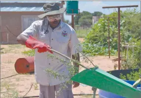  ??  ?? Demo… Salomo Kauari demonstrat­es how he uses his hammer mill machine to grind branches from encroacher species into smaller pieces for use in his animal feed.