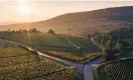  ?? Photograph: Marco Bottigelli/Getty Images ?? Vineyards in Burgundy, where producers are flourishin­g this year. The Bourgogne producers’ body said 55% of the region’s wines were sold abroad.