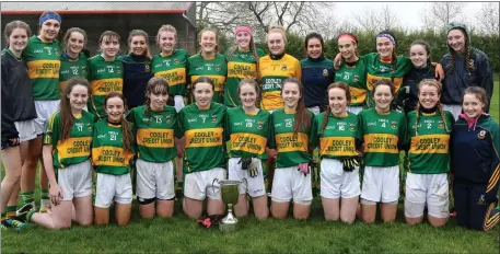  ??  ?? Cooley Kickhams’ winning Minor Ladies team.