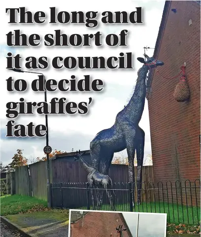  ?? ?? A giant metal giraffe is the subject of a planning applicatio­n in the village of Yeaveley