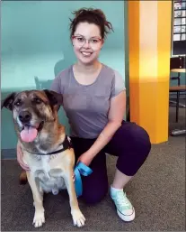  ?? SUBMITTED PHOTO ?? Louie the therapy dog will be at Medicine Hat College every Monday at 3 p.m. His human, Allison Helm, is a mental health programmer with MHC.