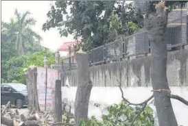  ?? SAKIB ALI/HT PHOTO ?? According to the forest department, the four trees were growing outside a sealed house adjacent to former mayor Ashu Verma’s home in Sector 9 of Raj Nagar .