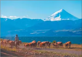  ?? ?? PAISAJE. El volcán Lanin, destino turístico de la Patagonia.