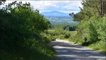  ??  ?? One of the trails around Forth Mountain that Claragh Keane has enjoyed exploring in recent months.