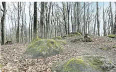  ?? FOTO: THOMAS REINHARDT ?? Unweit der Burg führt der Schmuggler­pfad über knapp 13 Kilometer durch Täler mit Wiesen und Weiden.