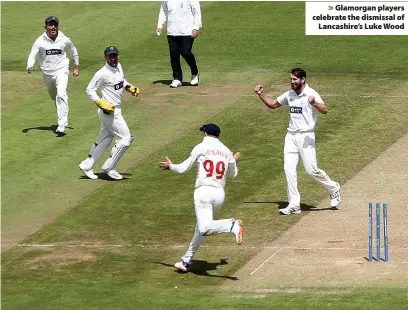  ??  ?? > Glamorgan players celebrate the dismissal of Lancashire’s Luke Wood