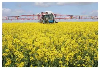  ??  ?? Traitement d’un champ de colza par un tracteur équipé d’une rampe de pulvérisat­ion de produits chimiques dans la région Pays de la Loire.