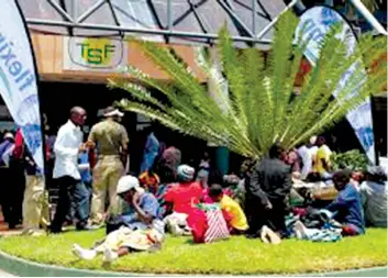  ??  ?? Tobacco growers are urged to return to their farms after selling their tobacco instead of camping at the floors