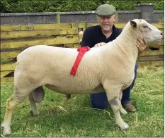  ??  ?? Brian Jordan from Rathangan, winner of the best ram lamb.
