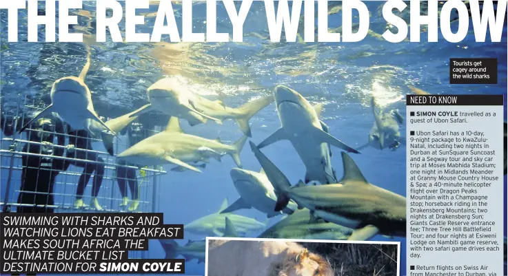  ??  ?? Tourists get cagey around the wild sharks