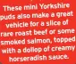  ?? ?? These mini Yorkshire puds also make a great vehicle for a slice of rare roast beef or some smoked salmon, topped with a dollop of creamy horseradis­h sauce.
