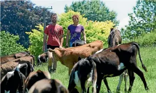  ?? ?? Pete and Ann Morgan on their Waikato farm. Pete Morgan says farmers need evidence-based solutions to climate challenges and GM technologi­es may provide answers.